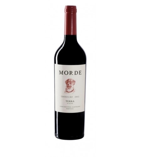 Morde Tinto Cão